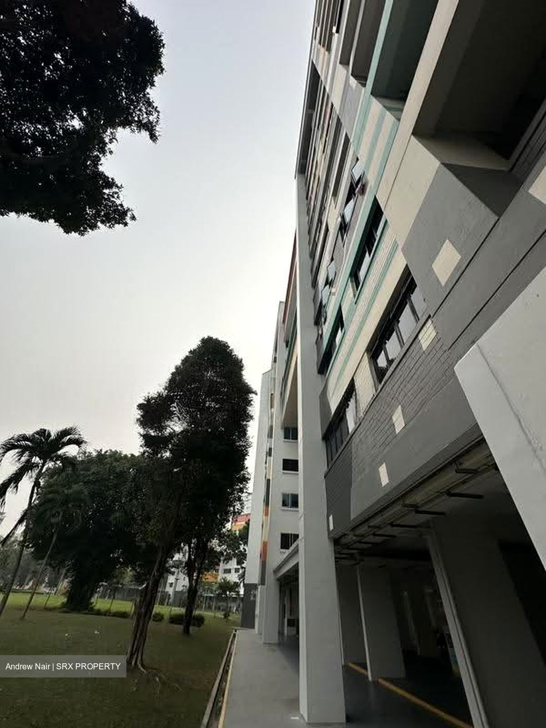 Tampines Street 42 (Tampines), Multi Generation #633661951